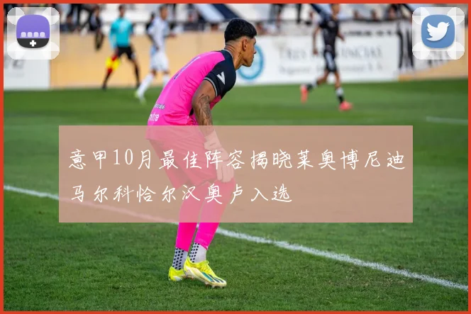 意甲10月最佳阵容揭晓莱奥博尼迪马尔科恰尔汉奥卢入选